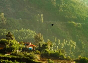 Retirement Haven: Discover Your Ideal Community