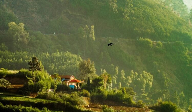 Retirement Haven: Discover Your Ideal Community