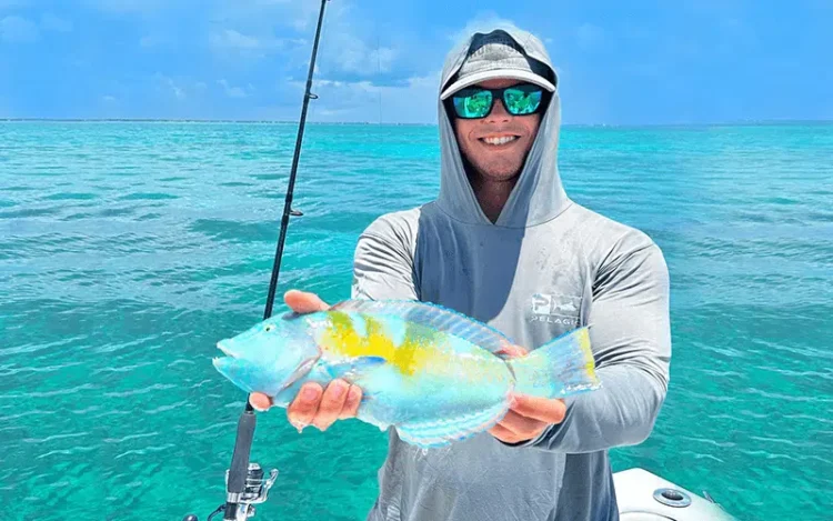 What to Look for When Booking Fishing Charters in Islamorada, Florida?