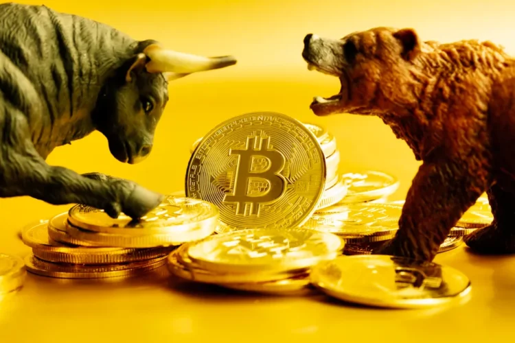 Strategies for Bitcoin Investors in Bear Markets