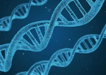 Gene Editing: How it Could Change Medicine For Everyone