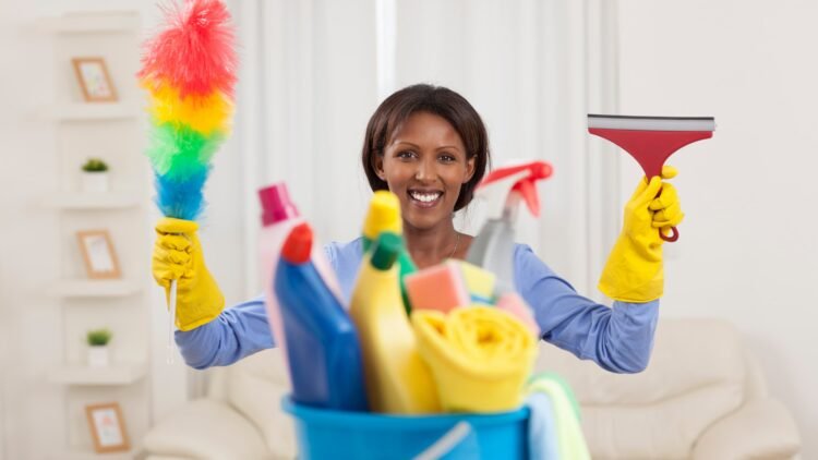 Reasons Why You Should Consider Becoming A House Cleaner