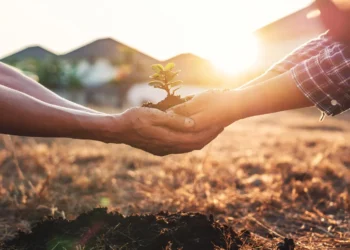 Investing in Your Knowledge: High-Impact Investment Education Programs