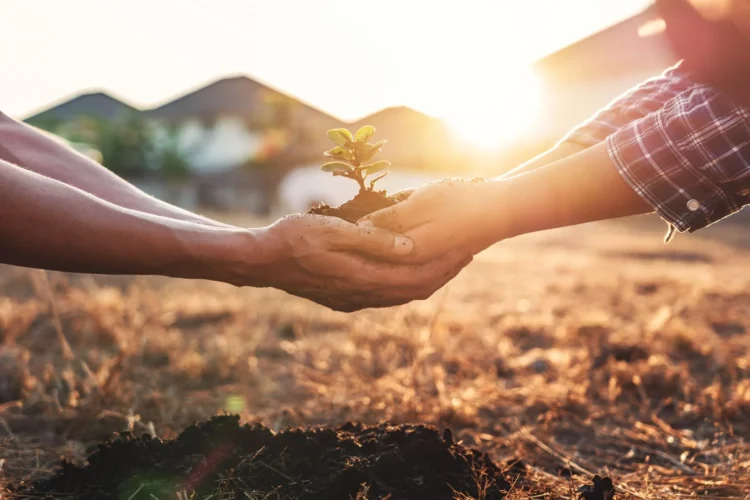 Investing in Your Knowledge: High-Impact Investment Education Programs