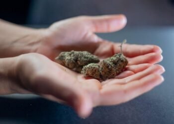 The Ultimate Guide to the Best Edible Products: What to Know Before You Buy