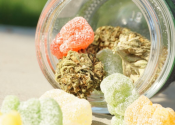 The 4 Benefits of Using the Best Edibles for Wellness and Relaxation
