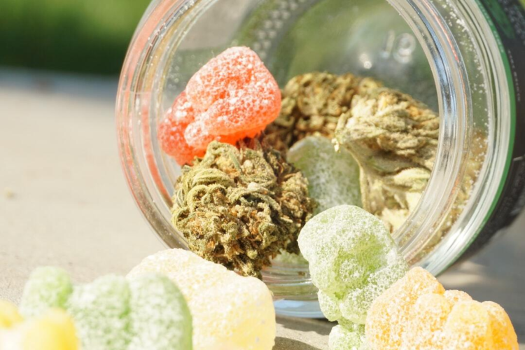 The 4 Benefits of Using the Best Edibles for Wellness and Relaxation