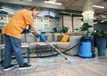 What to Expect During a Professional Carpet Cleaning Appointment