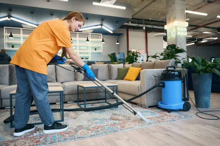 What to Expect During a Professional Carpet Cleaning Appointment