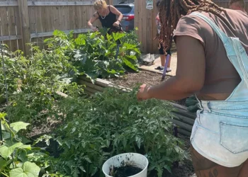 Lucie’s Place: Transforming Lives Through Housing and Advocacy in Arkansas