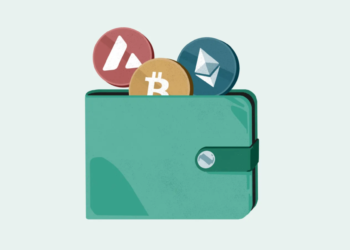 Crypto Wallet Safety 101: Avoiding Hacks and Recovering Stolen Funds