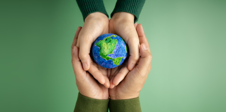 Speaking About the Environment and English Vocabulary on Deforestation