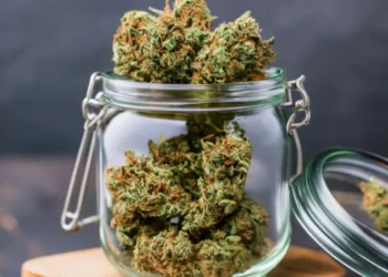 Westcoast Cannabis for Fresh, Potent Products Shipped Across Canada