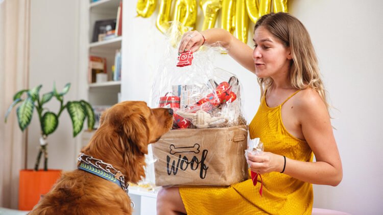 Thoughtful Gift Ideas For Dog Lovers: Surprising Presents That Stand Out