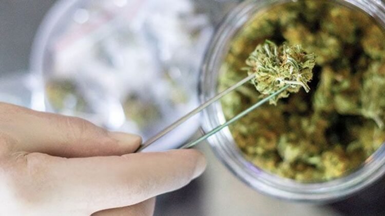 THCa Ounces Give You More Value and Potency in Every Order