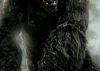 How to Access Live Content on King Kong TV