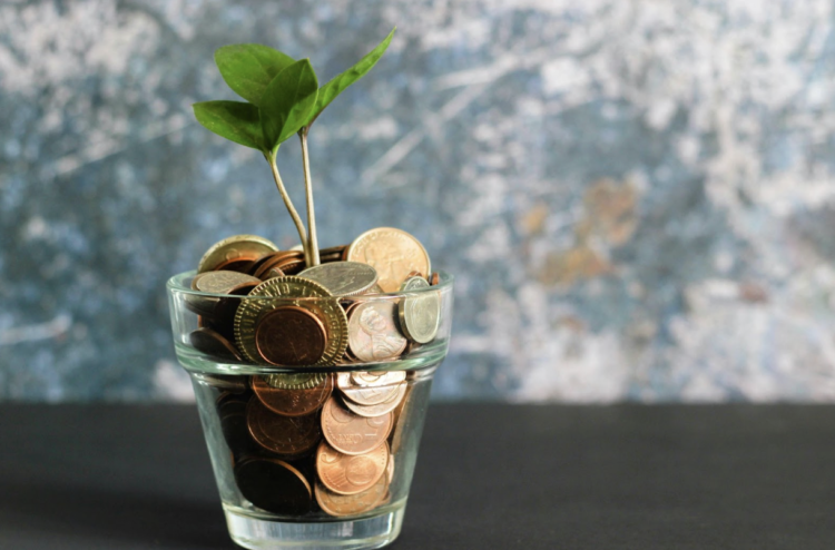 Financial Freedom on Benefits: A Guide to Centrelink Loans and Crypto currency Investment