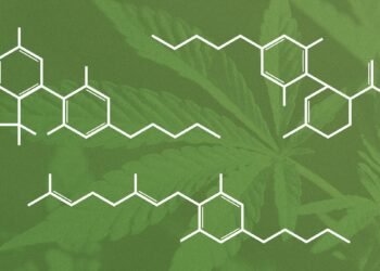 Cannabis Prescription Configurator: How a Digital Prescription Configurator Simplifies Personalized Cannabis Treatment Plans