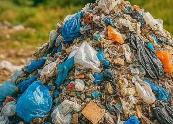 Solid Waste Management: From Everyday Choice to City-Scale Impact