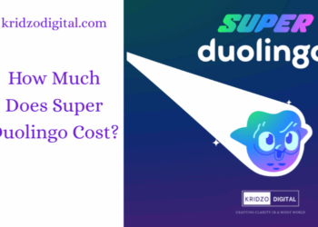 What Is the Real Annual Cost of Super Duolingo?