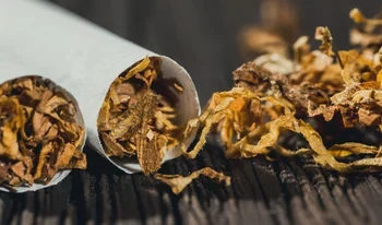 NATIVE CIGARETTES VS. COMMERCIAL CIGARETTES: KEY DIFFERENCES EXPLAINED