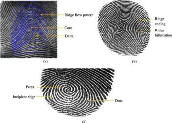Simple Guide to Evaluation of Latent Friction Ridge Technology (ELFT)