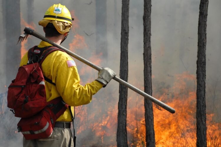 The Critical Importance of Fire Watch Guards in High-Risk Environments: A Comprehensive Overview