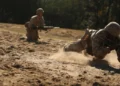 How Combat and Service Reshape the Brain and Body
