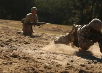 How Combat and Service Reshape the Brain and Body