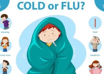 Understanding Cold, Nasal Congestion, and Fever: Symptoms, Causes, and Relief