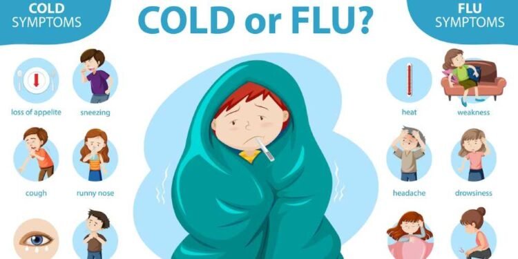 Understanding Cold, Nasal Congestion, and Fever: Symptoms, Causes, and Relief