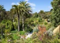 How Botanical Gardens Foster Community Education and Environmental Awareness