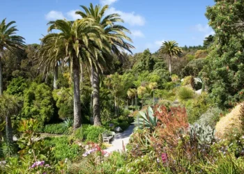 How Botanical Gardens Foster Community Education and Environmental Awareness