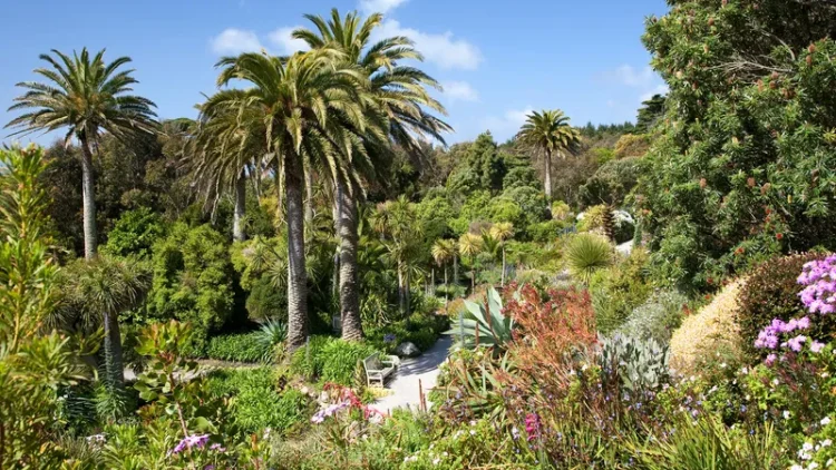 How Botanical Gardens Foster Community Education and Environmental Awareness