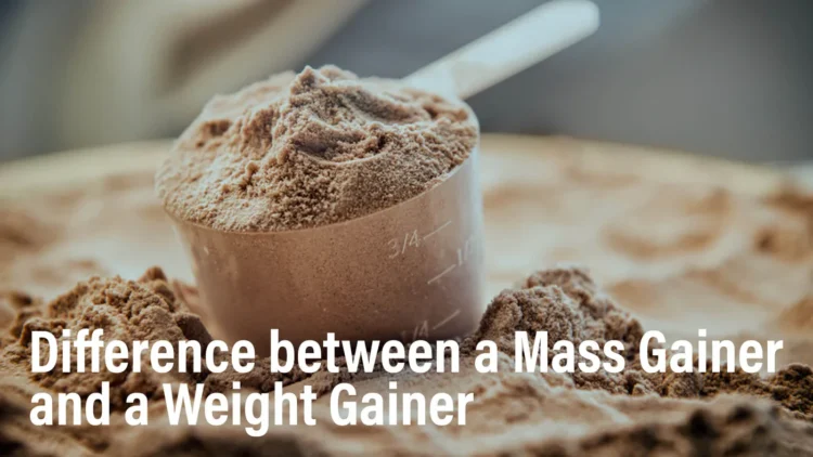 Whey Protein in Pakistan vs Mass Gainer: Which One Should Skinny Guys Buy